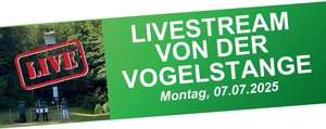 livestream1.jpg